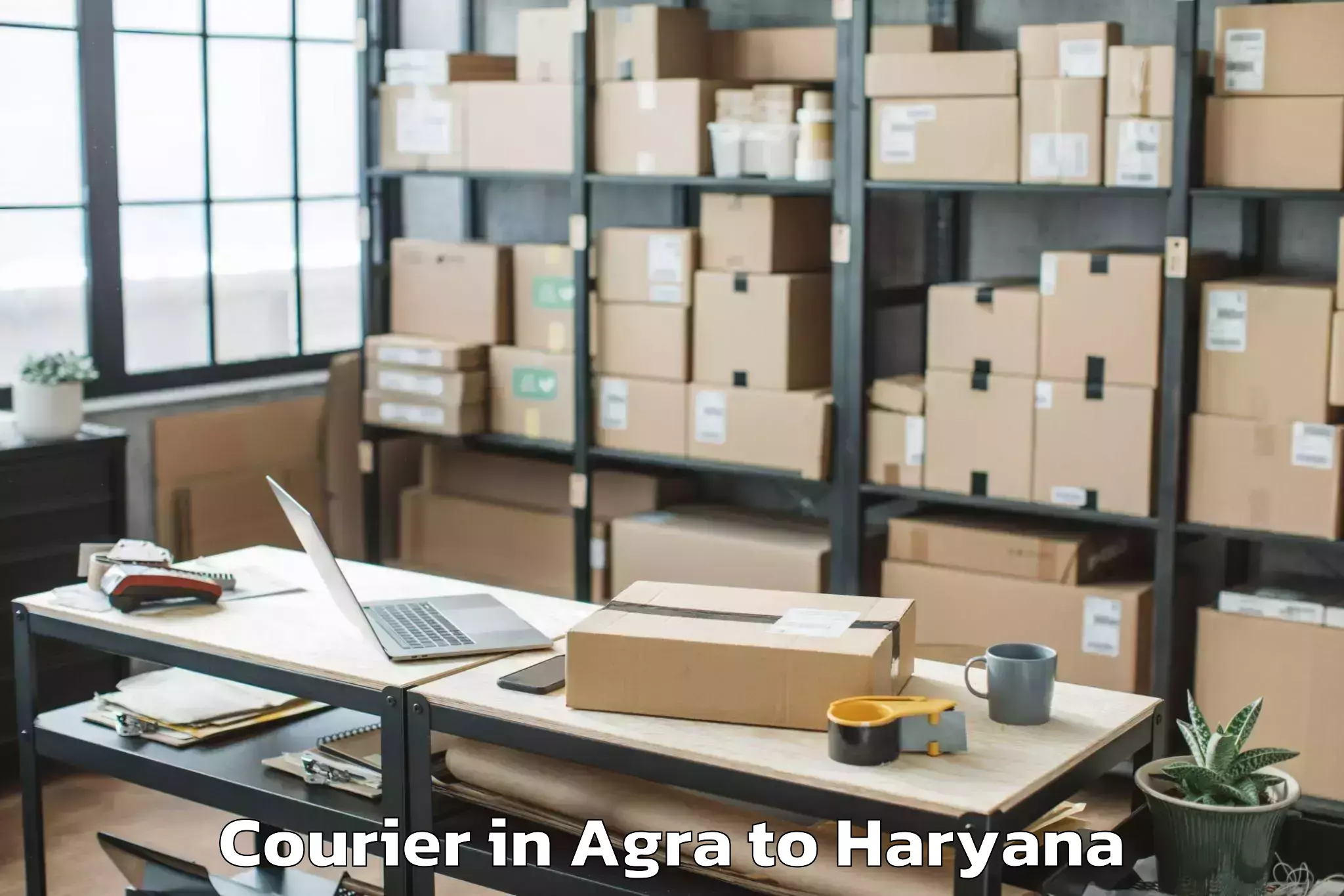 Reliable Agra to Kanina Courier